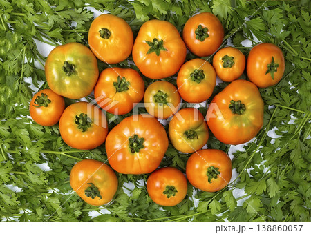 homemade tomatoes are on parsley, red tomatoes on green parsley, for a culinary book homemade tomatoes are on parsley, red tomatoes on green parsley, for a culinary book 138860057