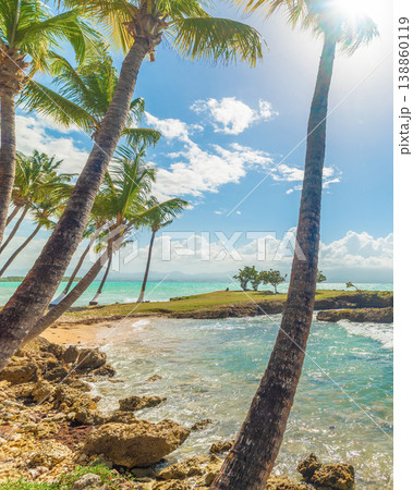 Palms by the sea in Bas du Fort beach in Guadeloupe 138860119