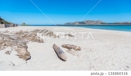 Driftwood on the sand in La Pelosa Beach in Stintino Driftwood on the sand in La Pelosa Beach in Stintino 138860316