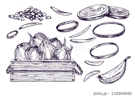 Hand drawn ink illustration of onion set in wooden box. Vegetable sketch for culinary recipe, organic food packaging and grocery store design. Linear monochrome organic farming concept. Hand drawn ink illustration of onion set in wooden box. Vegetable sketch for culinary recipe, organic food packaging and grocery store design. Linear monochrome organic farming concept. 138860698