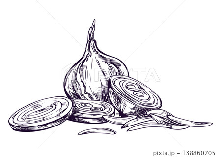 Hand drawn onion illustration with ink sketch style. Whole and sliced vegetable for organic farm product pack design, kitchen menu decor and healthy food label graphic element. 138860705