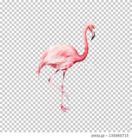 Pink flamingo bird. Watercolor hand drawn zoo animal, isolated illustration on transparent background. Perfect for tropical design projects. For designers, invitations, decoration, postcards, wrapping Pink flamingo bird. Watercolor hand drawn zoo animal, isolated illustration on transparent background. Perfect for tropical design projects. For designers, invitations, decoration, postcards, wrapping 138860715