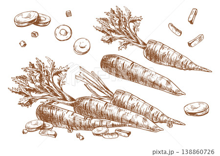 Carrot sketch set. Hand drawn ink vegetable illustration for agricultural organic food design. Farm product graphic harvest outline, healthy nutrition concept for cooking menu, shop. Carrot sketch set. Hand drawn ink vegetable illustration for agricultural organic food design. Farm product graphic harvest outline, healthy nutrition concept for cooking menu, shop. 138860726