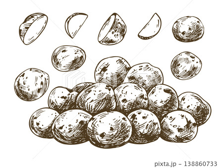 Hand drawn sketch illustration of baby potato tubers and slices. Monochrome ink art for harvest, cooking, grocery store and organic food packaging design. Detailed vegetable outline drawing. Hand drawn sketch illustration of baby potato tubers and slices. Monochrome ink art for harvest, cooking, grocery store and organic food packaging design. Detailed vegetable outline drawing. 138860733