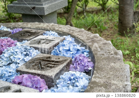 紫陽花が彩る花手水の美しい和風風景 紫陽花が彩る花手水の美しい和風風景 138860820