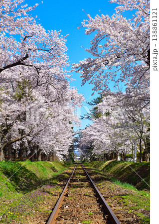 桜景 津軽鉄道 芦野公園駅付近 桜景 津軽鉄道 芦野公園駅付近 138861121