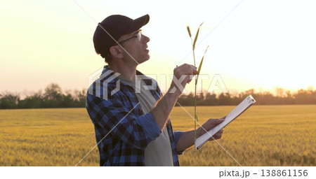 Agronomist in wheat field during sunset. Agronomist inspecting wheat grain for crop quality. Agronomist focused on harvest readiness in golden field. farmer man assessing mature crop. 138861156