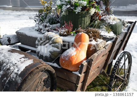 Rustic wooden wagon filled with autumn pumpkins ande flowers in snowy winter 138861157