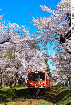 桜景 津軽鉄道 芦野公園駅付近 桜景 津軽鉄道 芦野公園駅付近 138861433