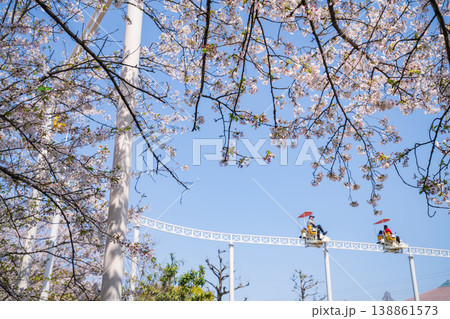 春のmeitoこどもランド・とだがわ、満開の桜とサイクルモノレール〈愛知県名古屋市〉 138861573