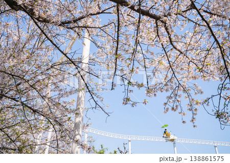 春のmeitoこどもランド・とだがわ、満開の桜とサイクルモノレール〈愛知県名古屋市〉 138861575