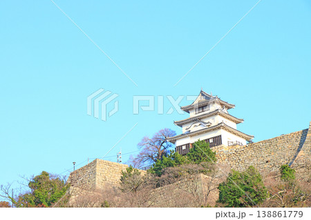 香川県丸亀市、丸亀城の風景 138861779