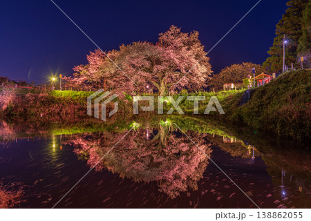 夜の浅井の一本桜・福岡県久留米市 138862055