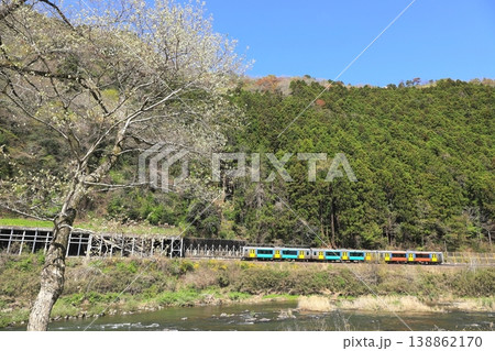 水郡線「春の久慈川と山間部を走るカラフルな列車」 138862170