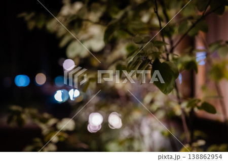 夜の光がにじむボケ背景と植物 夜の光がにじむボケ背景と植物 138862954