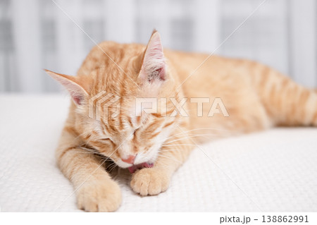 A cute red cat is lying on a light bed A cute red cat is lying on a light bed 138862991