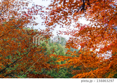 晩秋の寂地峡　モミジの紅葉と龍ヶ岳　山口県岩国市 138863297