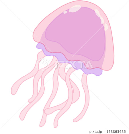 Jellyfish  138863486