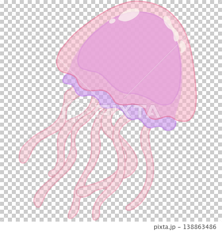 Jellyfish  138863486