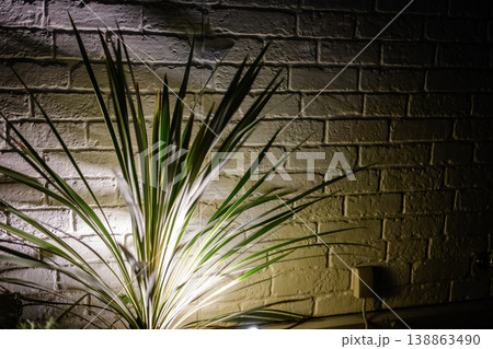 ライトに照らされた白いレンガ壁と植物の影の背景素材 ライトに照らされた白いレンガ壁と植物の影の背景素材 138863490
