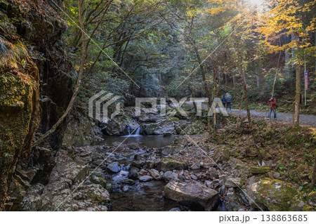 岡崎市のくらがり渓谷の風景(愛知県) 138863685