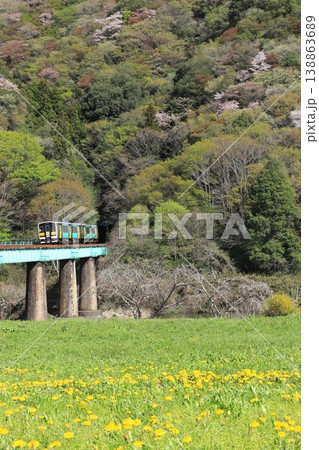 水郡線「たんぽぽ咲く野原と山間部を走る列車背景に」 138863689