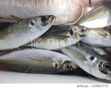 釣り上げたアジ 釣り上げたアジ 138863733