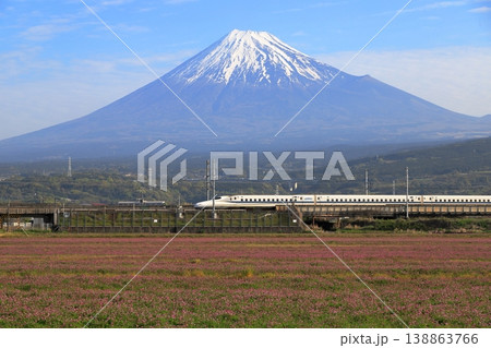 蓮華畑と富士山 138863766