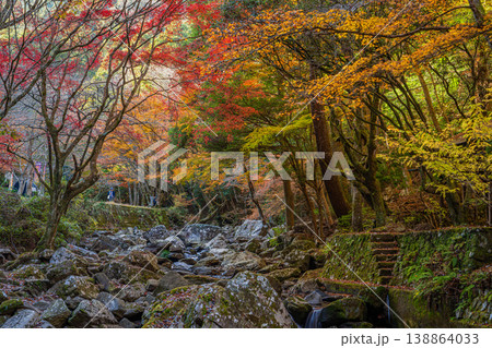 岡崎市のくらがり渓谷の風景(愛知県) 岡崎市のくらがり渓谷の風景(愛知県) 138864033