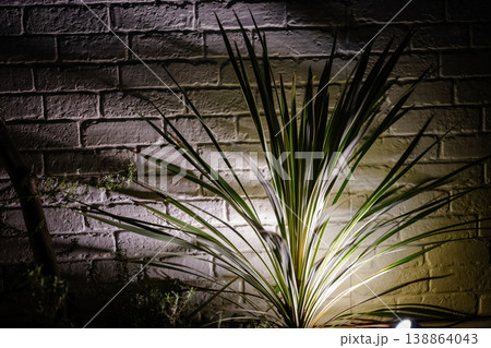 ライトに照らされた白いレンガ壁と植物の影の背景素材 ライトに照らされた白いレンガ壁と植物の影の背景素材 138864043