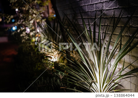 夜の光がにじむボケ背景と植物 夜の光がにじむボケ背景と植物 138864044