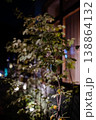 ライトに照らされた白いレンガ壁と植物の影の背景素材 138864132