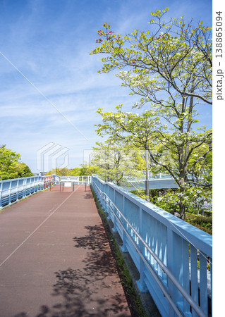 初夏の青空と歩道橋 東京都江戸川区清新町 初夏の青空と歩道橋 東京都江戸川区清新町 138865094