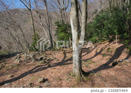 小谷城址京極丸虎口 小谷城址京極丸虎口 138865464