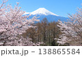 桜咲く新倉山浅間神社からの富士山 138865584