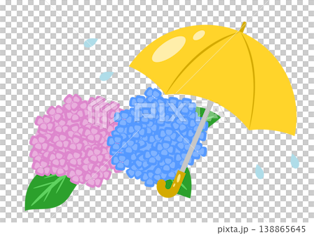 An illustration of hydrangeas and a yellow umbrella, depicting a rainy season scene. 138865645