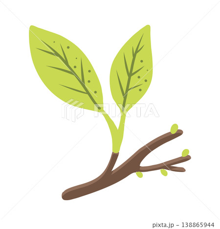 Vector illustration of a green tree with leaves. Vector illustration of a green tree with leaves. 138865944