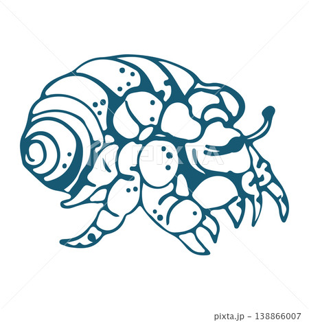Hand drawn vector Hermit Crab Illustration 138866007