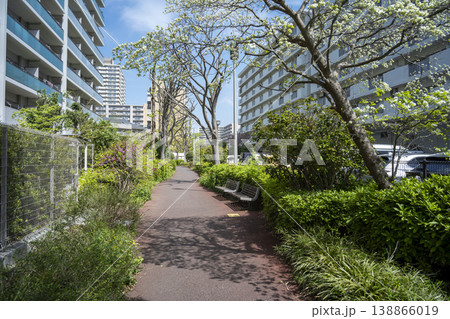 東京都江戸川区西葛西のマンション群の風景 東京都江戸川区西葛西のマンション群の風景 138866019