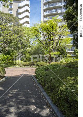 東京都江戸川区西葛西のマンション群の風景 東京都江戸川区西葛西のマンション群の風景 138866030