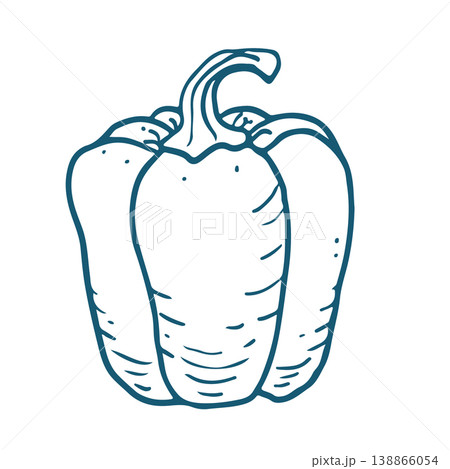 Handdrawn vector sketch Illustration of Bell pepper. Handdrawn vector sketch Illustration of Bell pepper. 138866054