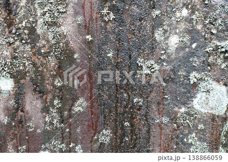 地衣類と苔が生える岩 地衣類と苔が生える岩 138866059