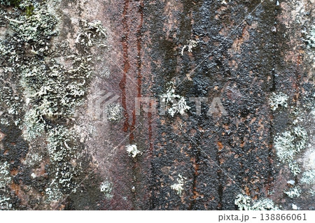 地衣類と苔が生える岩 地衣類と苔が生える岩 138866061