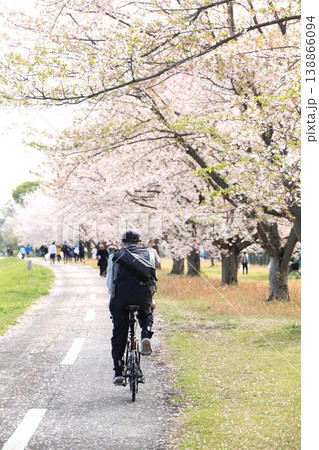春の桜満開の公園で自転車に乗る男性 稲城北緑地公園 春の桜満開の公園で自転車に乗る男性 稲城北緑地公園 138866094