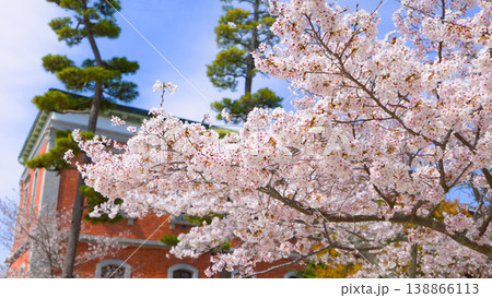 満開の桜と赤レンガ建築の春景色 138866113