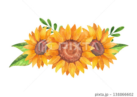 Sunflowers, isolated watercolor composition. Hand drawn illustration of vibrant yellow flowers in a rustic style. Flowering plants for posters, layouts, postcards, and farmer's market decor. 138866602