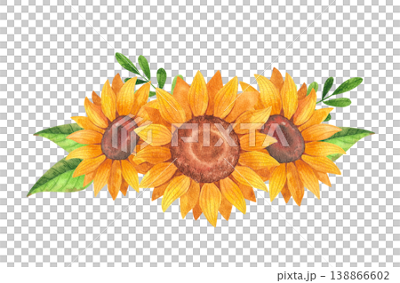 Sunflowers, isolated watercolor composition. Hand drawn illustration of vibrant yellow flowers in a rustic style. Flowering plants for posters, layouts, postcards, and farmer's market decor. 138866602