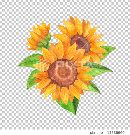 Colorful sunflowers with green leaves, isolated watercolor bouquet. Hand drawn illustration of bright yellow flowers in a rustic style for posters, layouts, cards, and farmer's market design. 138866604