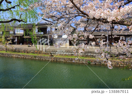【岡山県】桜咲く春の倉敷美観地区（重要伝統的建造物群保存地区） 138867011
