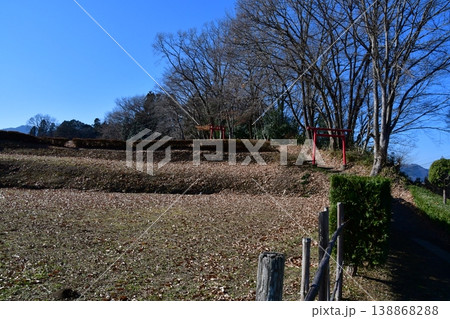 鉢形城133 二ノ曲輪、城山稲荷神社 138868288